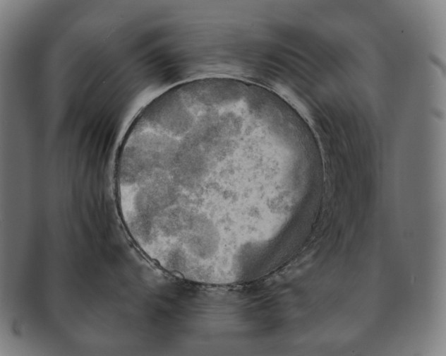 X0000091481104200709131807