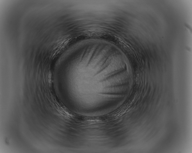 X0000091481108200709131806