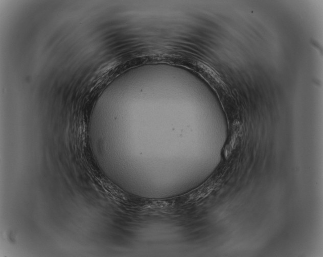 X0000091481111200709131806