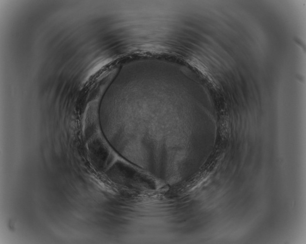 X0000091481112200709131806