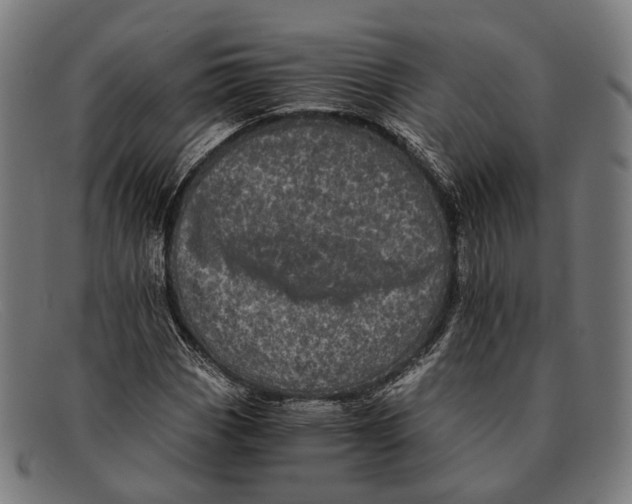 X0000091481113200709131806