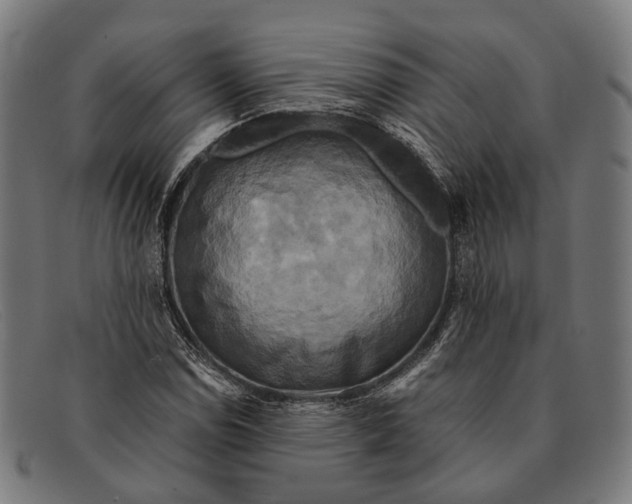 X0000091481114200709131806