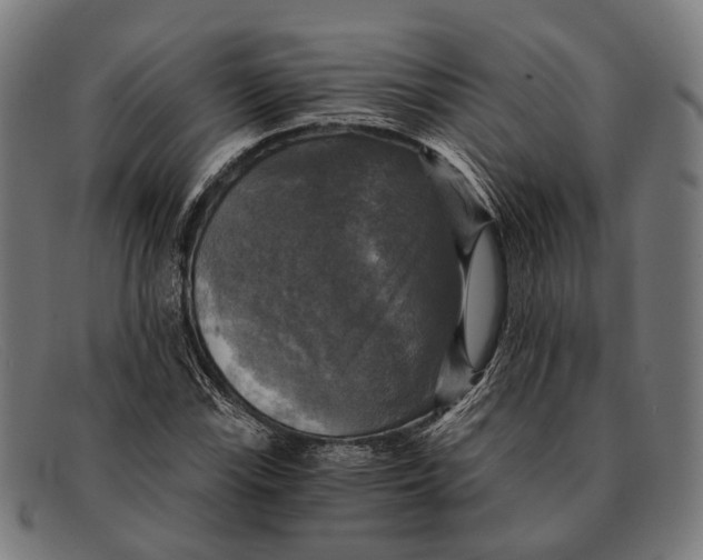 X0000091481115200709131806