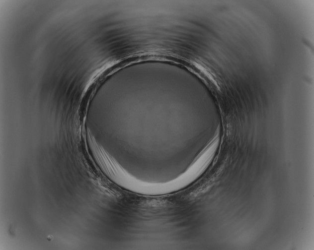 X0000091481117200709131806