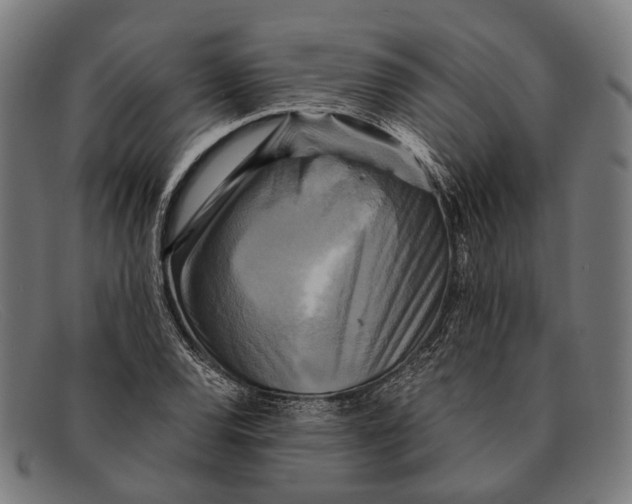 X0000091481120200709131807