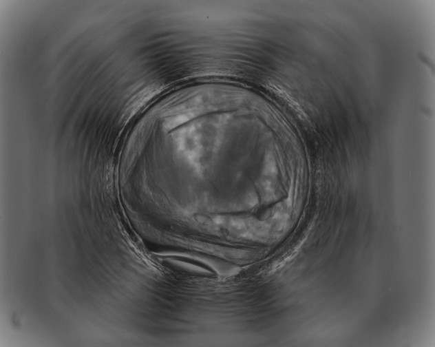 X0000091481121200709131807