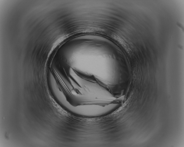 X0000091481122200709131807