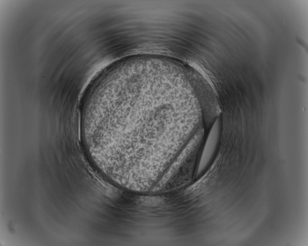 X0000091481123200709131807