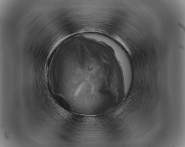 X0000091481124200709131807