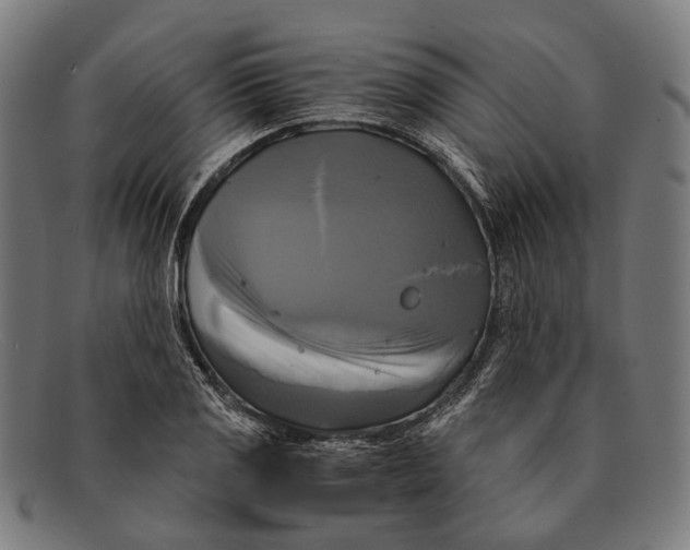 X0000091481125200709131807