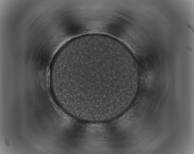 X0000091481126200709131807