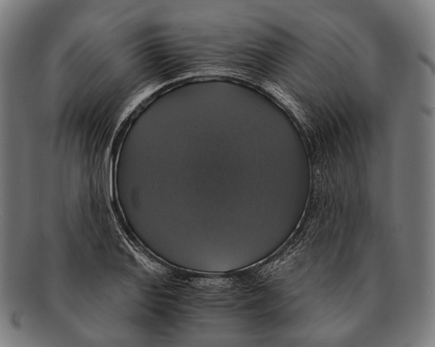 X0000091481127200709131807