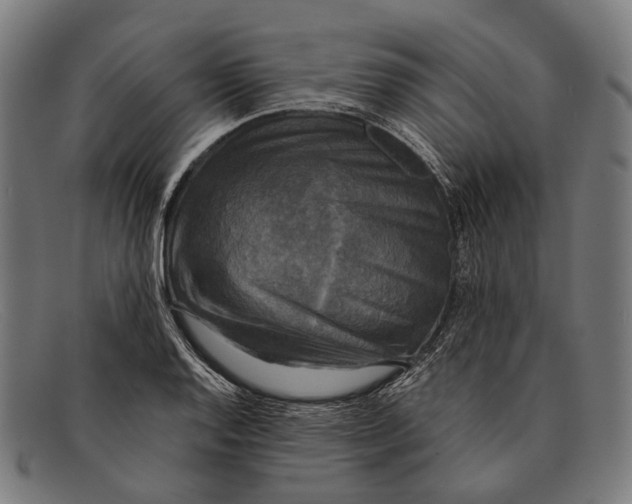 X0000091481128200709131807