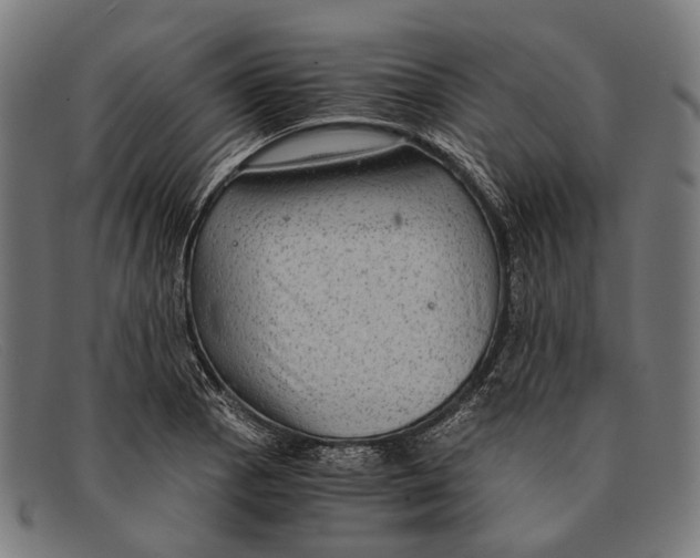 X0000091481129200709131807