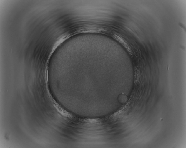 X0000091481130200709131807