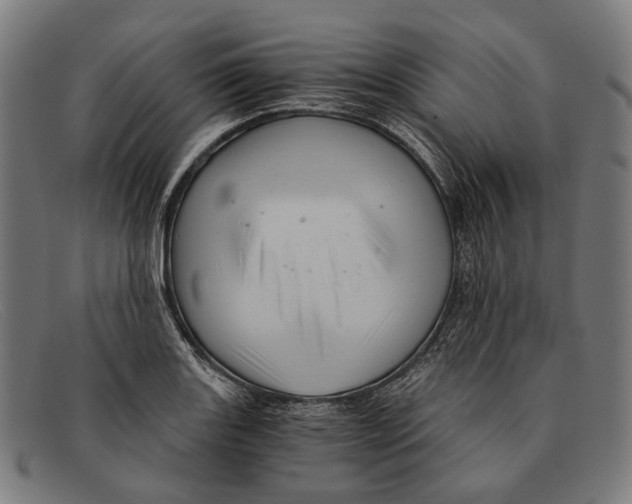 X0000091481131200709131807