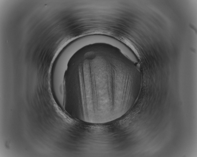 X0000091481132200709131807