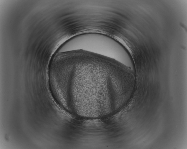 X0000091481133200709131807