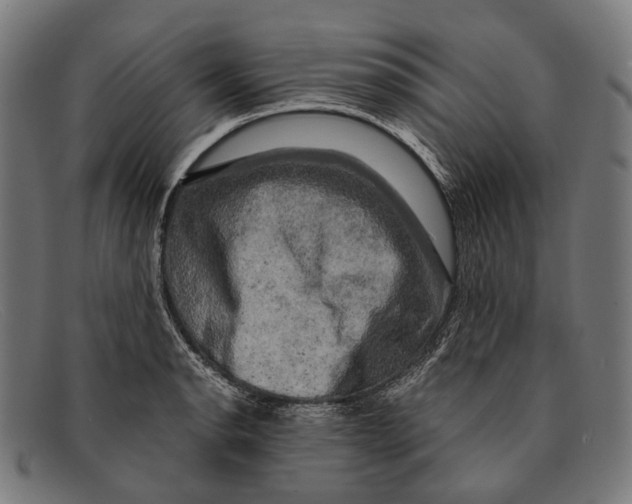 X0000091481134200709131807