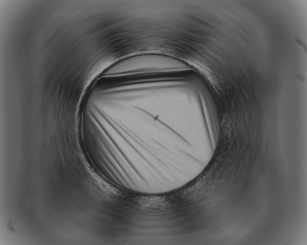 X0000091481135200709131807