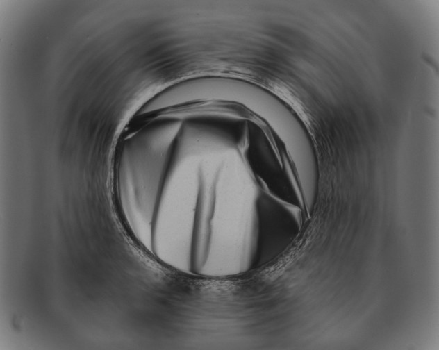 X0000091481136200709131807