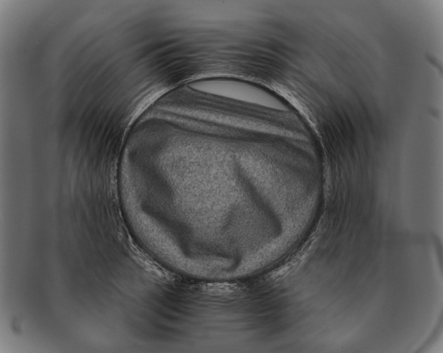 X0000091481137200709131807