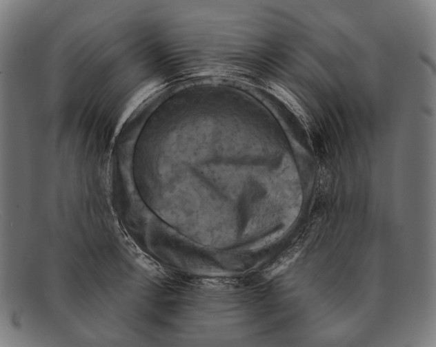 X0000091481138200709131807