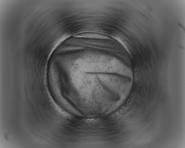 X0000091481139200709131807