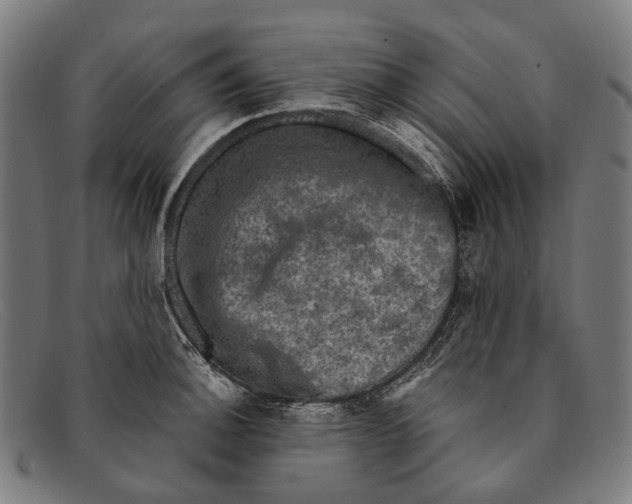 X0000091481140200709131807