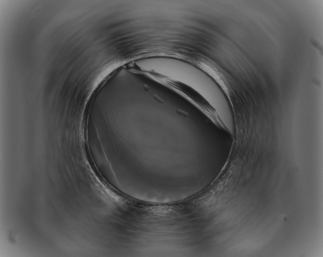 X0000091481141200709131807