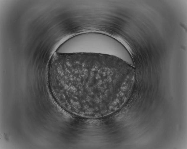 X0000091481142200709131807