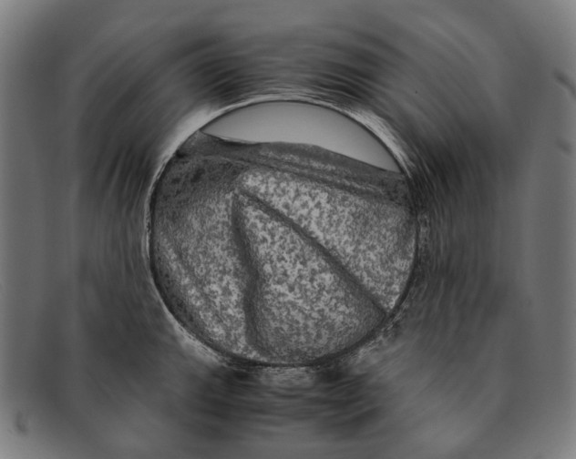 X0000091481143200709131807