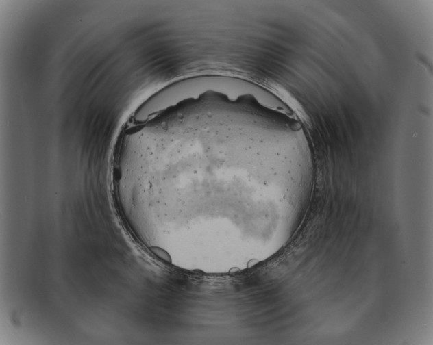 X0000091481144200709131807