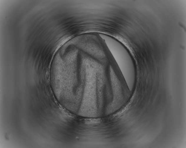 X0000091481145200709131807