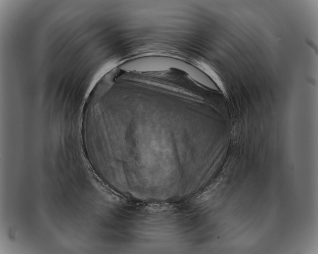 X0000091481146200709131807