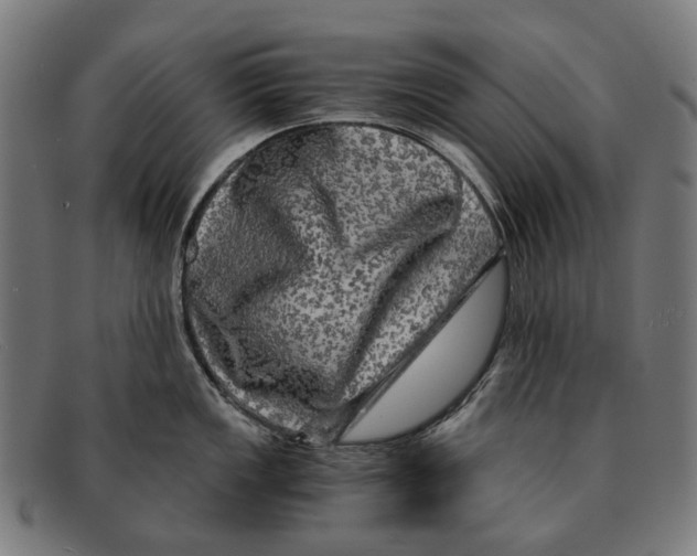 X0000091481149200709131807