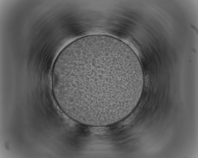 X0000091481150200709131807