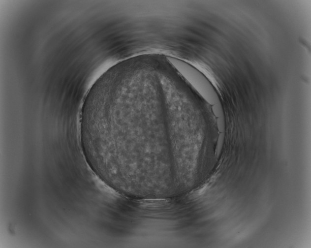 X0000091481151200709131807