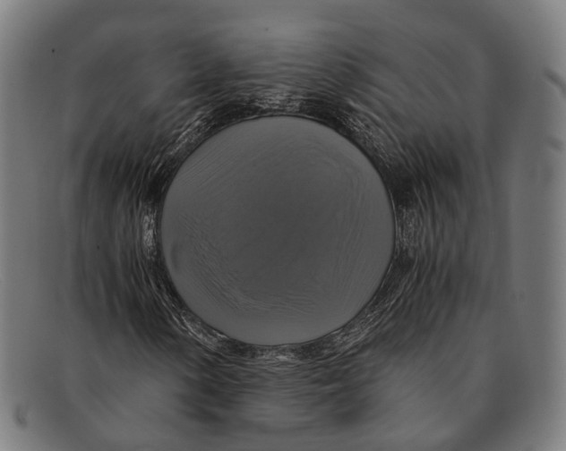 X0000091481154200709131806