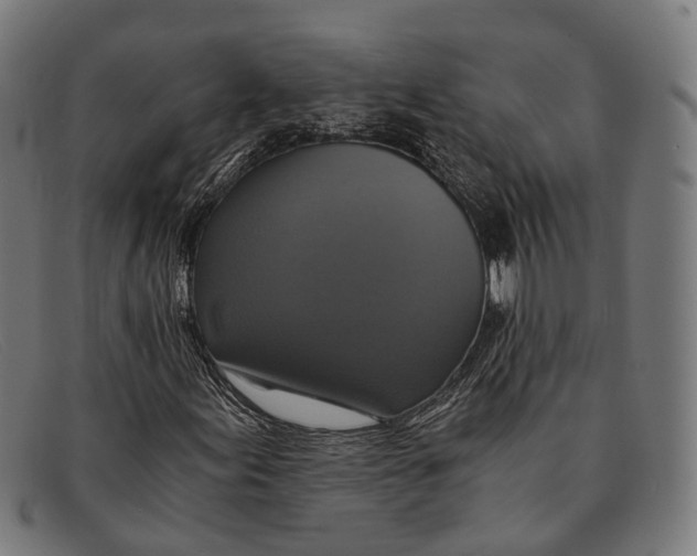 X0000091481155200709131806