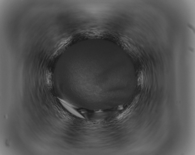 X0000091481156200709131806