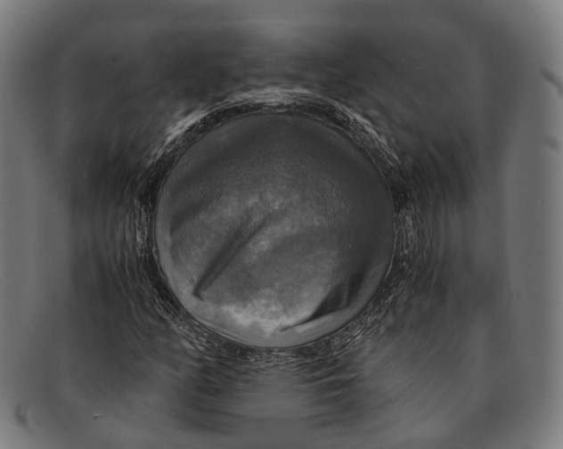 X0000091481158200709131806