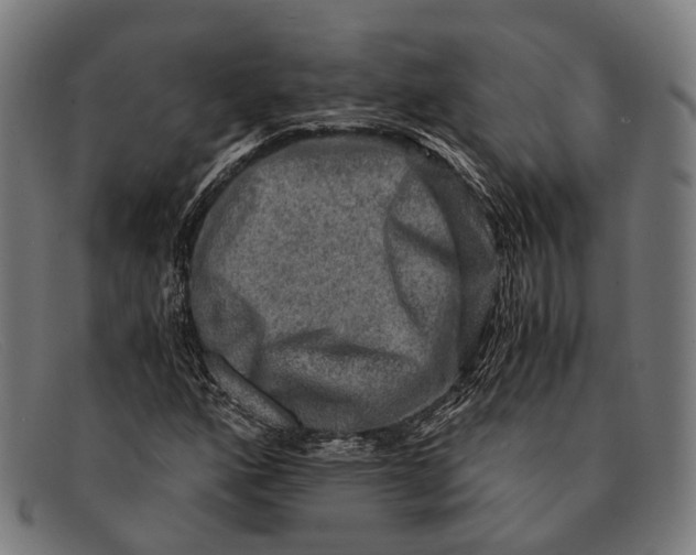 X0000091481160200709131806