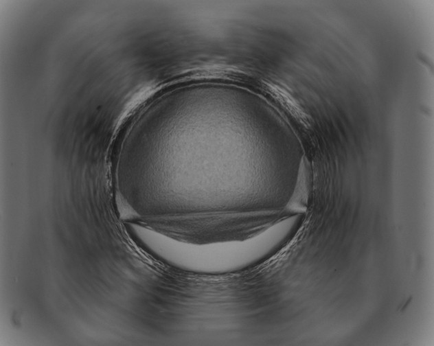 X0000091481164200709131806