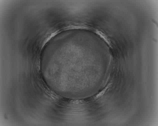 X0000091481165200709131806