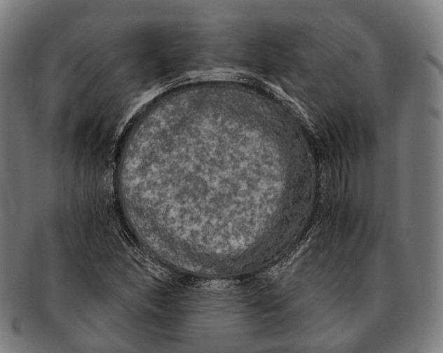 X0000091481166200709131806