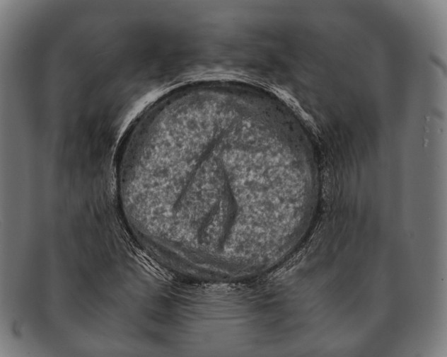 X0000091481167200709131806