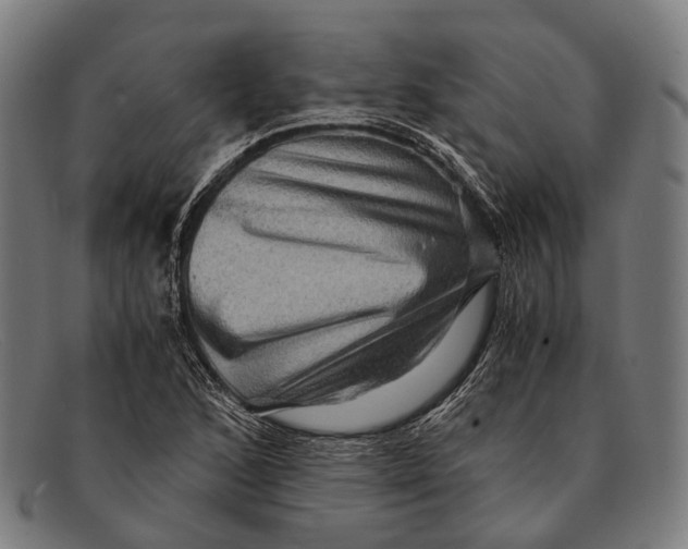 X0000091481168200709131806