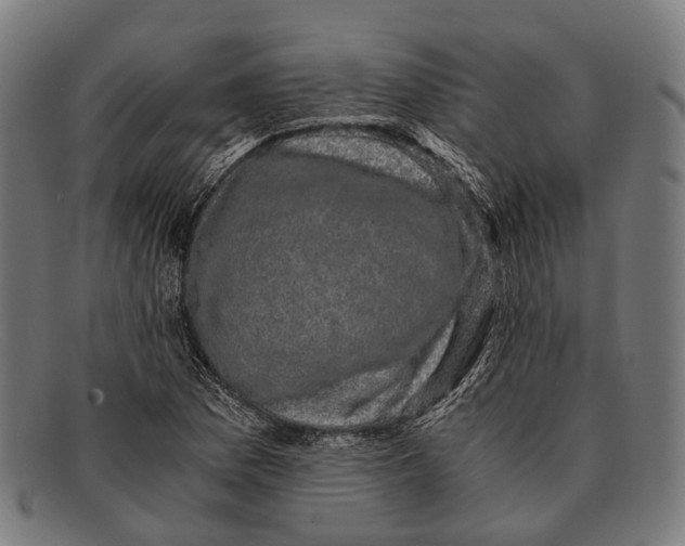 X0000091481169200709131806