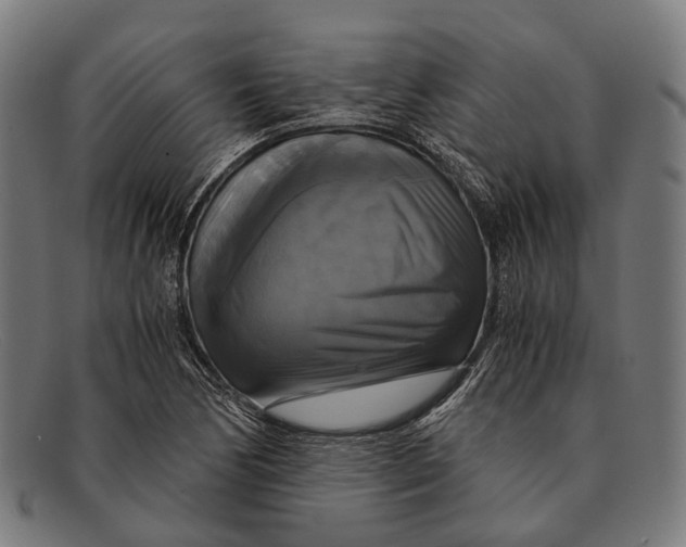 X0000091481170200709131806